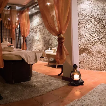 Kapuzinergarten Panoramahotel 莱茵河畔的布赖萨赫